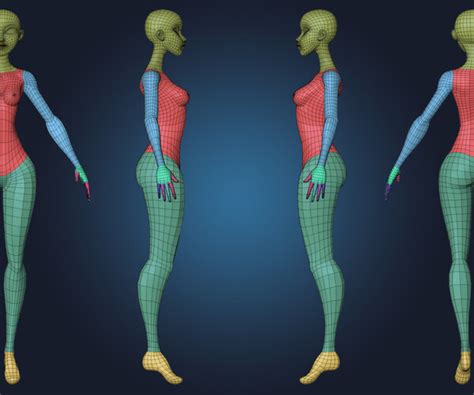 Artstation Stylized Female Basemesh Plus Anatomy Blockout Resources