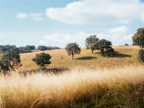 Pastizales Una Oportunidad Para Abordar Crisis Climática Y De Biodiversidad Portalambiental