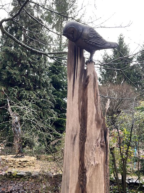 Hide And Seek I By Martin Adamson £1400 Cotswold Sculpture Park Ltd