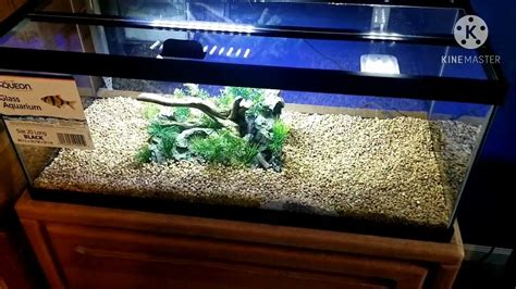 Fish Tank Lid 20 Gallon Long | informacionpublica.svet.gob.gt