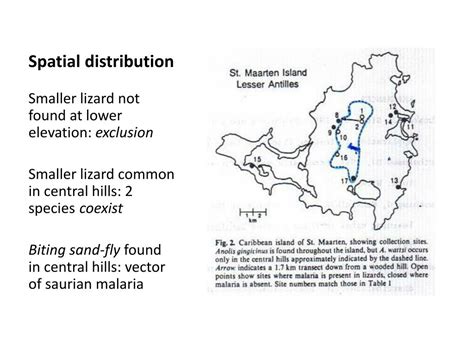 Ppt Keystone Species Powerpoint Presentation Free Download Id2766766