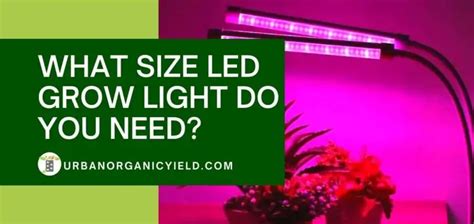 15 Easy Yet Inexpensive Diy Led Grow Light Ideas For Indoor Growing