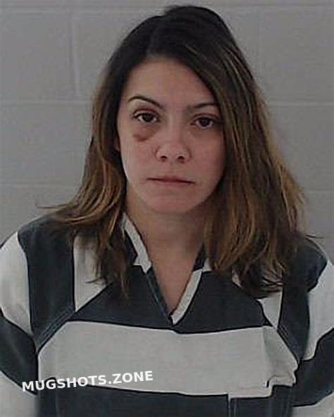 Hixson Heather Michelle 01192023 Johnson County Mugshots Zone