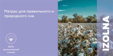 Матрас "Котон" купить в интернет-магазине RITMO