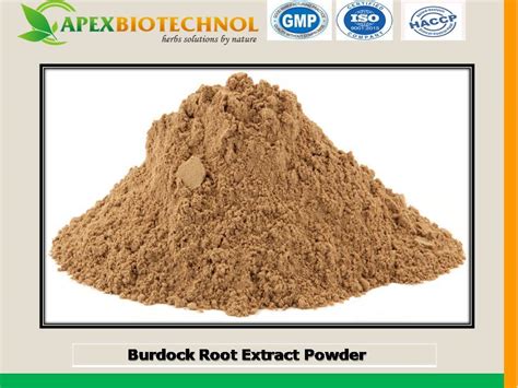 APEX BIOTECHNOL Burdock Root Extract Pack Size 25 Kg Packaging Type