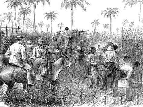 The West Indies: slavery, plantations and trade, 1759-1832 | British Online Archives