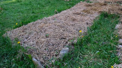 Beete Im Garten Anlegen Alle Anleitungen