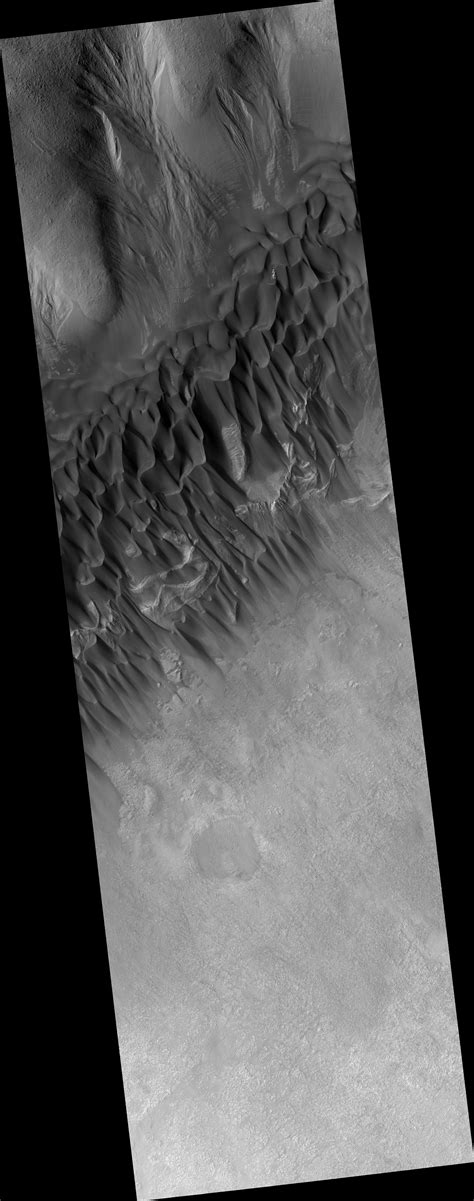 Hirise Dunes In The Western Nereidum Montes Esp0122021390