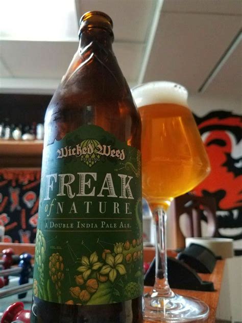 Pin By Tim Larsen On Delightful Craft Beers India Pale Ale Pale Ale