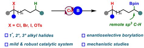 Boron Chem Research On Twitter Cobalt Catalyzed Asymmetric Remote