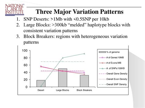 A Multi Strain High Resolution Mouse Haplotype Map Reveals Three