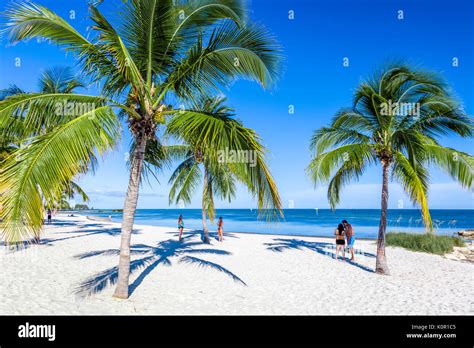 Florida Beach Palmen Fotos Und Bildmaterial In Hoher Aufl Sung Alamy