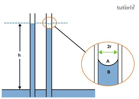 To Find The Surface Tension Of Water By Capillary Rise Method