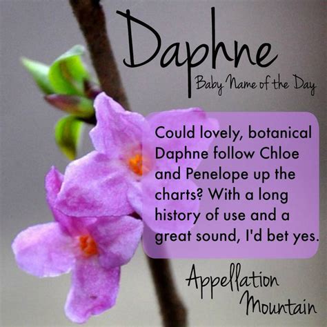 Baby Name Daphne: High-Energy Charmer - Appellation Mountain | Baby ...