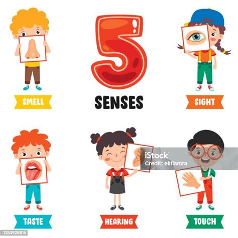 Konsep Five Senses Dengan Organ Manusia Ilustrasi Stok Unduh Gambar Sekarang Nomor Lima