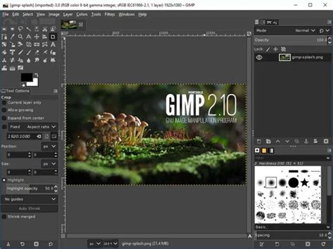 Cómo hacer un en GIMP Creativos Online