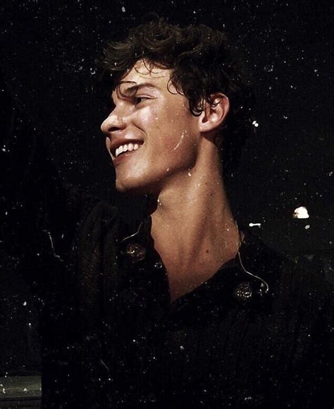 Shawn Mendes Cute Singing Sensation Handsomeboymodel