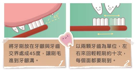 【您有天天幫毛小孩刷牙嗎 】林盈甄獸醫