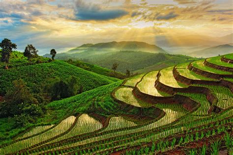 Photos Of Thailand That Will Make You Want To Go Now Rice