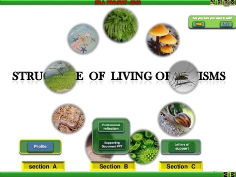 Structure of living organism