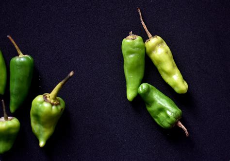 The Fresh Peppers Of Nigeria Kitchen Butterfly