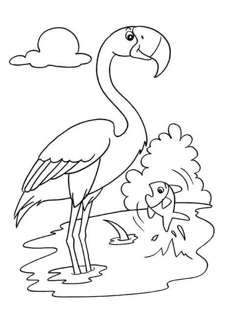 Coloriage Flamant Rose Et Poisson T L Charger Et Imprimer Gratuit Sur