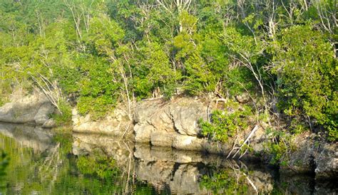 Dagny Johnson Key Largo Hammock Botanical State Park