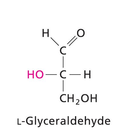 EXAM 2 BIOCHEM Flashcards Quizlet