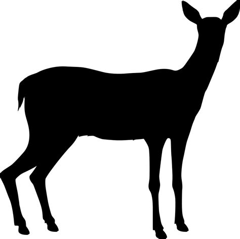 Svg S Ugetier Tier Wiese Hirsch Kostenloses Svg Bild Symbol