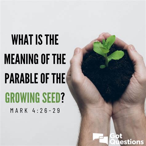 What Is The Meaning Of The Parable Of The Growing Seed Mark