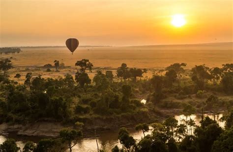 Best Nairobi Safari Tours - Travel Guide, Packages & More