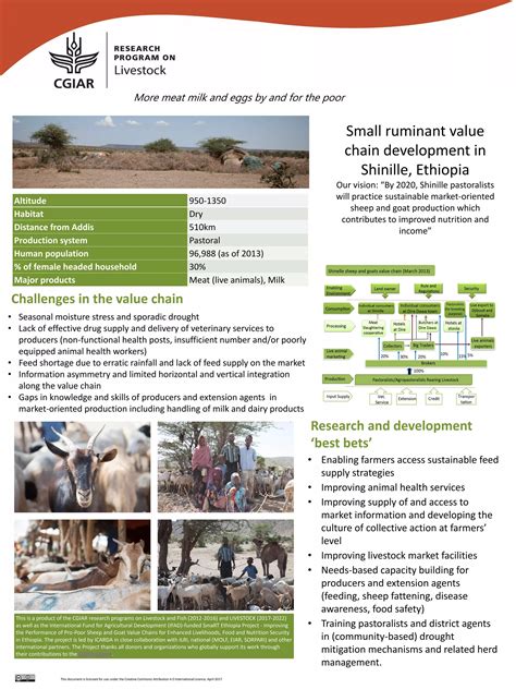 Small Ruminant Value Chain Development In Shinille Ethiopia PDF