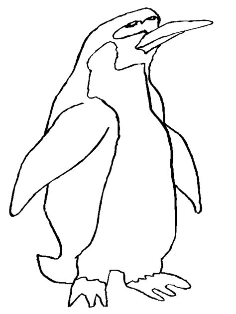 Galapagos Penguin Clipart For Kids