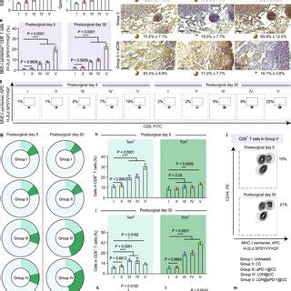 Schematic Of An Implantable Flex Patch To Reinvigorate Sln For