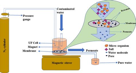 The Schematic Diagram Of The Dead End Ultra Filtration Set Up Download Scientific Diagram