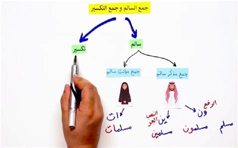 در عربی چگونه اسم جمع ساخته می شود؟ مدرسه آنلاین