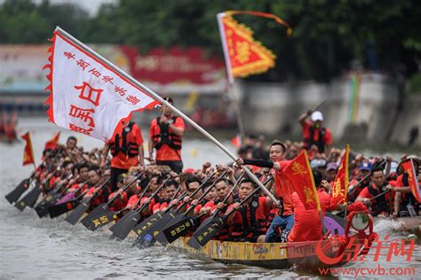 12支龙舟队逐浪竞渡！广州车陂端午龙舟盛会热闹开锣龙舟新浪财经新浪网