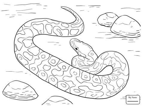 Diamondback Rattlesnake Coloring Page At Free