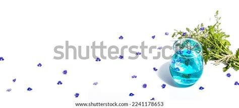 Cold Tonic Water Blue Forget Me Stock Photo 2241178653 Shutterstock
