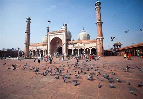 Private Full Day Delhi Sightseeing Tour By Car Getyourguide