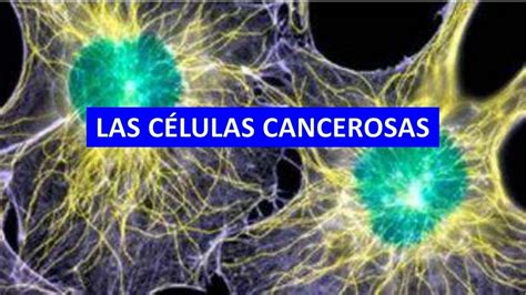 Las células cancerosas bibliomedicine uDocz