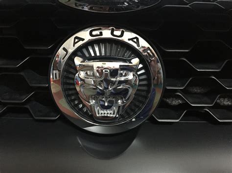 Front Emblem Variant On Older F Types Jaguar Forums Jaguar