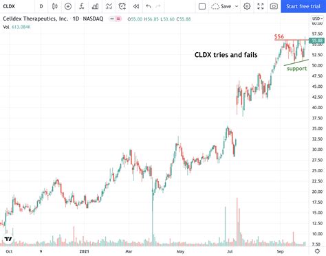 cldx  celldex therapeutics headed   breakout