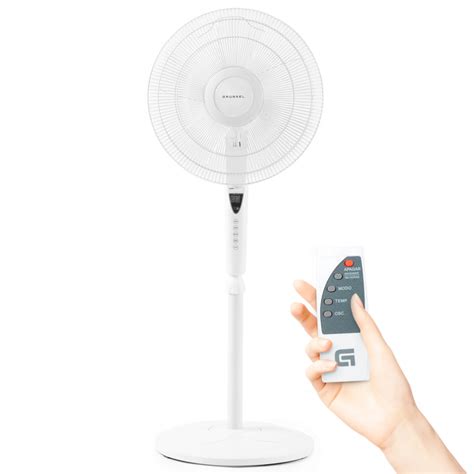 Ventilador De Pie Fan B Ecotimer Mando A Distancia Y Temporizador