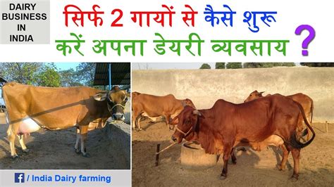 Dairy Farming How To Start Dairy With 2 Cows For Farmers And Entrepreneurs Must Watch Youtube