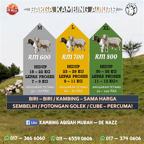 Harga Kambing Qurban Newstempo