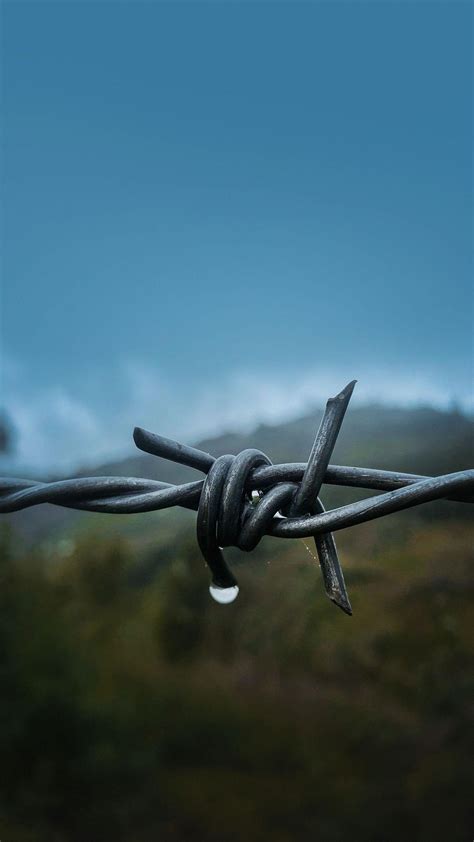 Barbed Wire Wallpapers Top Free Barbed Wire Backgrounds Wallpaperaccess