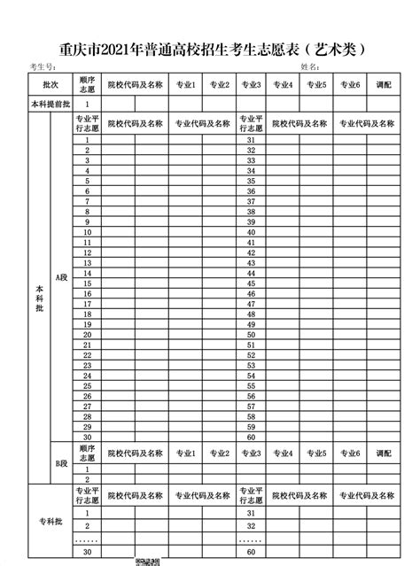 重庆2021年新高考志愿表（模拟填报用） 模板