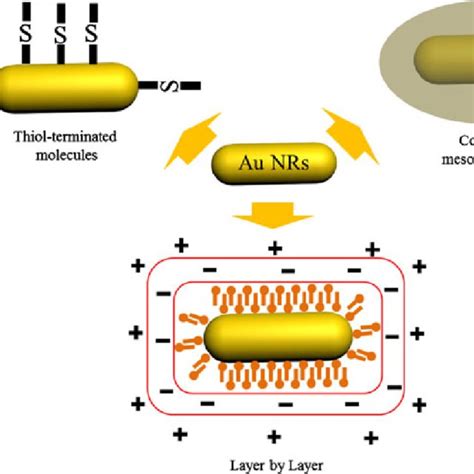 Schematic Representation Of Three General Surface Functionalization