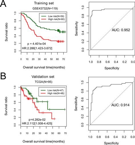 Characterization Of A Five Microrna Signature As A Prognostic Biomarker